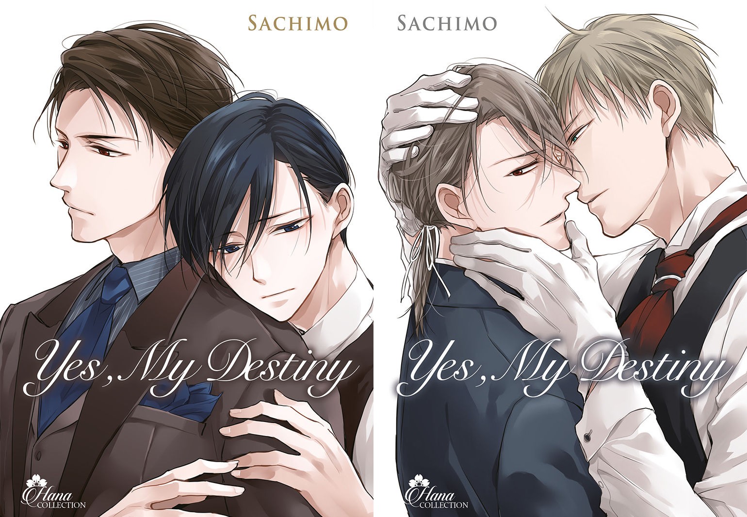 Yes My Destiny Scan Vf