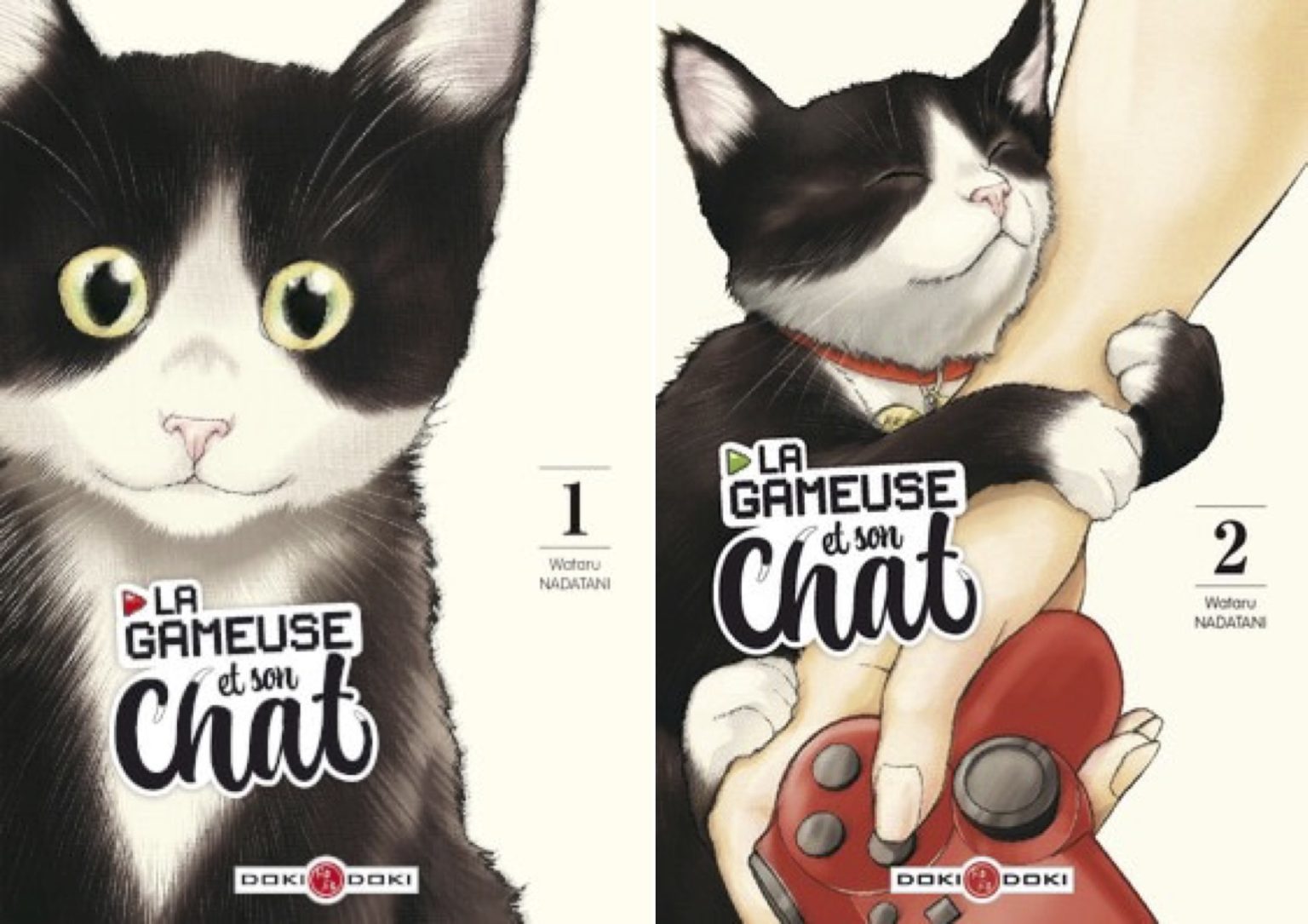 La Gameuse Et Son Chat